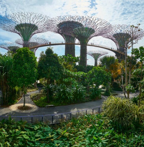 Gardens by the Bay: A Captivating Green Oasis
